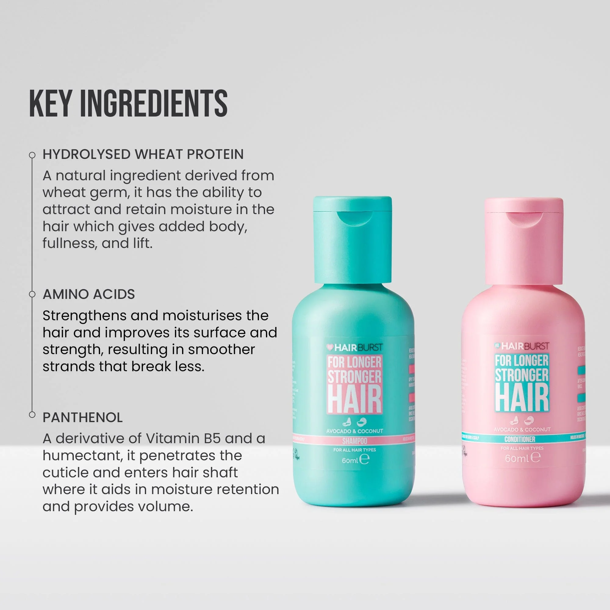 Mini Shampoo & Conditioner Duo - Image 2