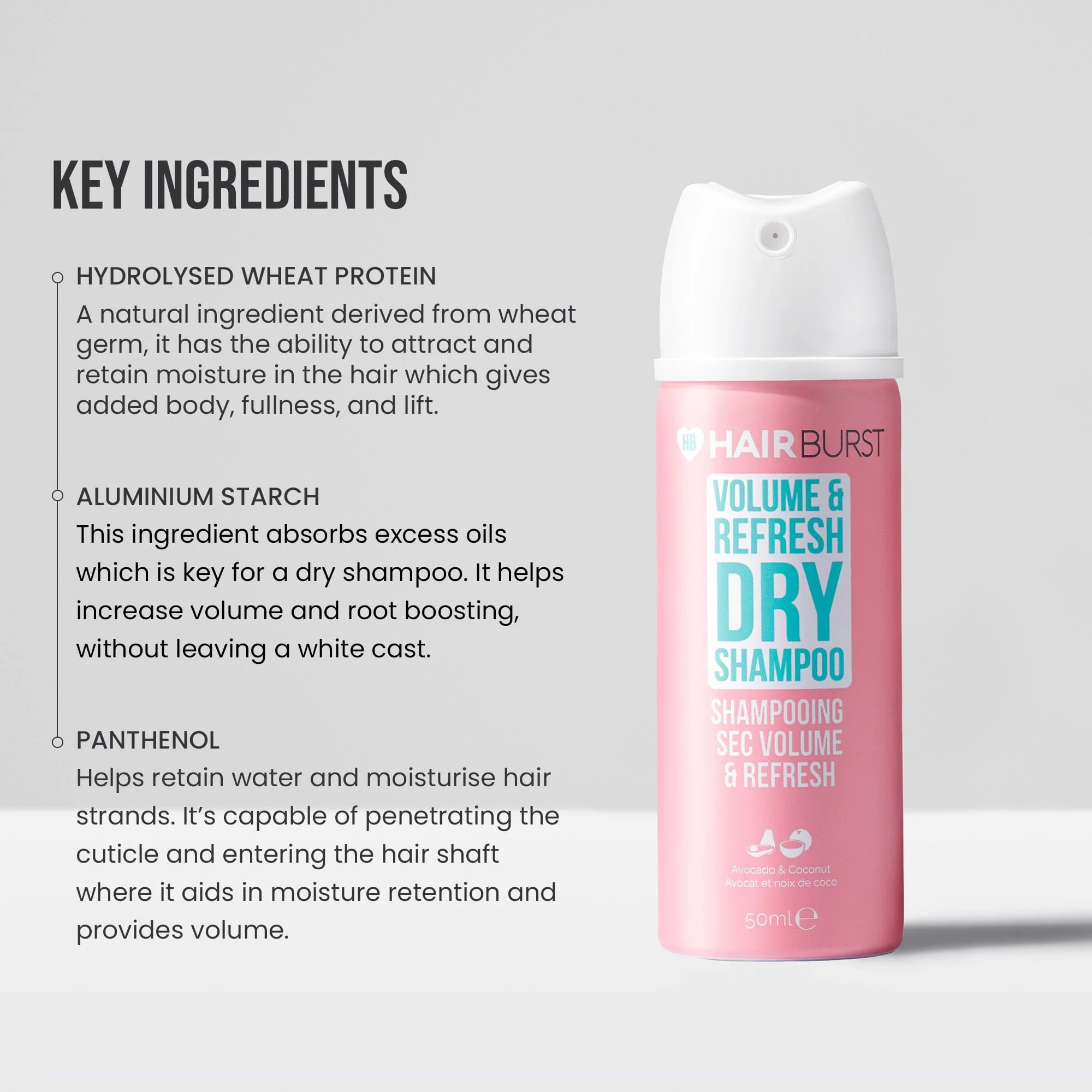 Mini Volume & Refresh Dry Shampoo - Image 2