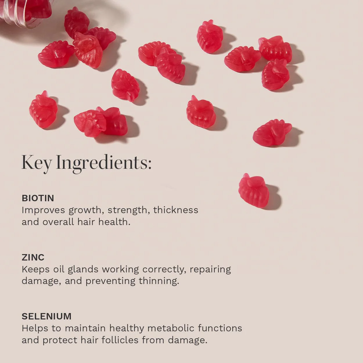 The Vegan Hair Growth Bundle - Image 2